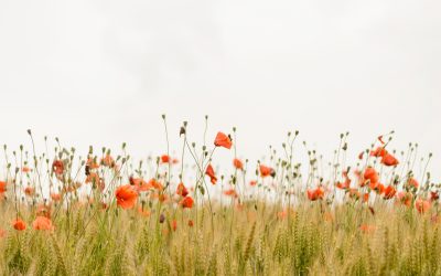 Congés d’été